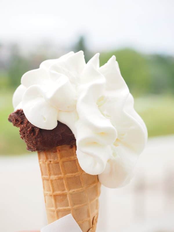 frozen custard machines frozen custard machines